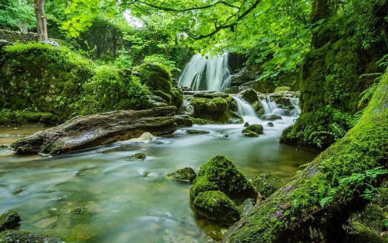 智能化高性能高性能